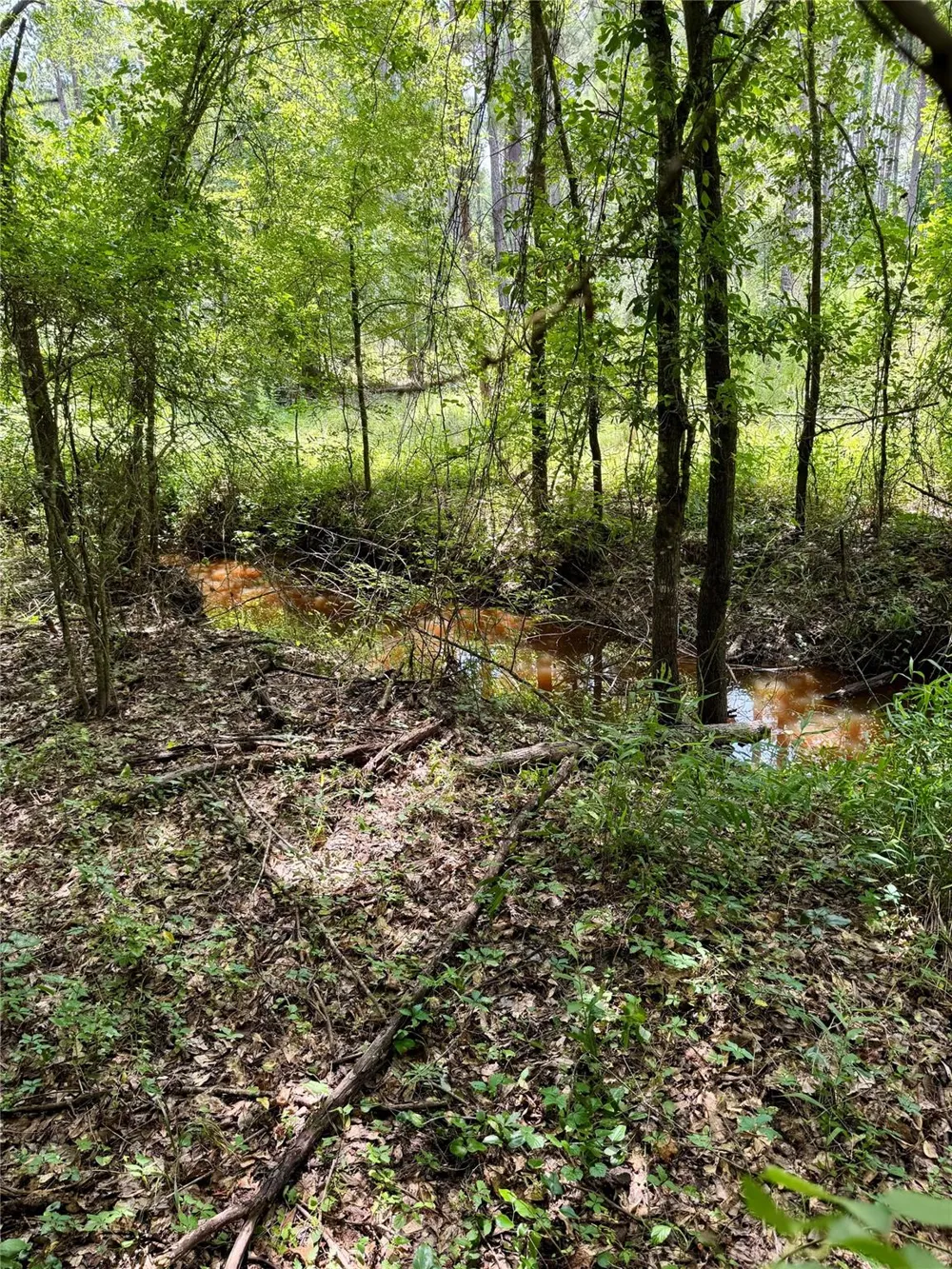 County Road 4030 Crockett, TX 75835