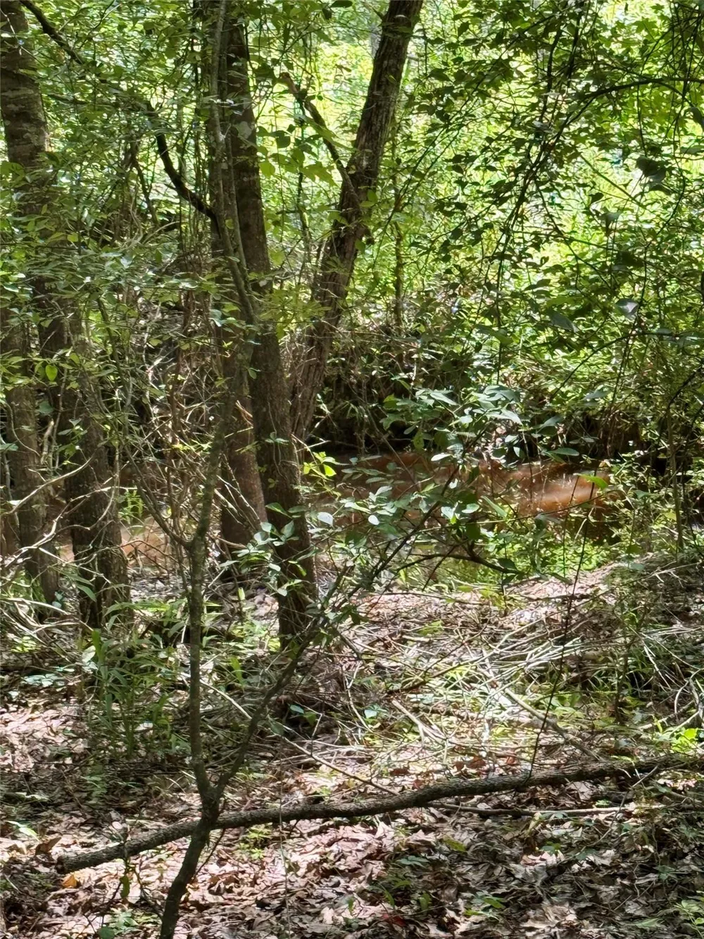 County Road 4030 Crockett, TX 75835