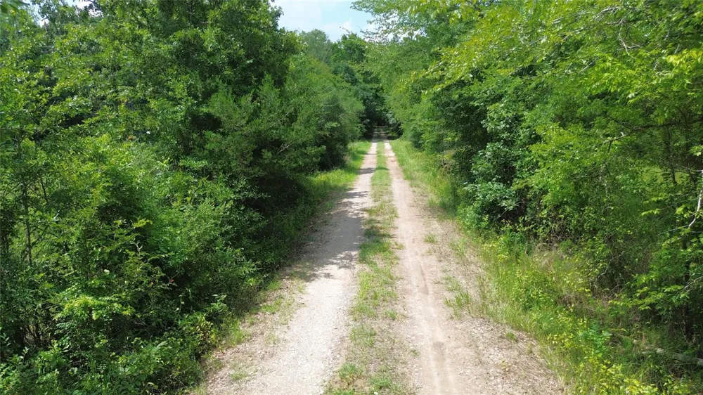 County Road 4030 Crockett, TX 75835