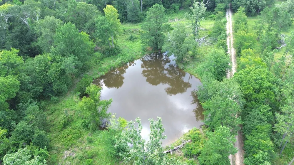 County Road 4030 Crockett, TX 75835
