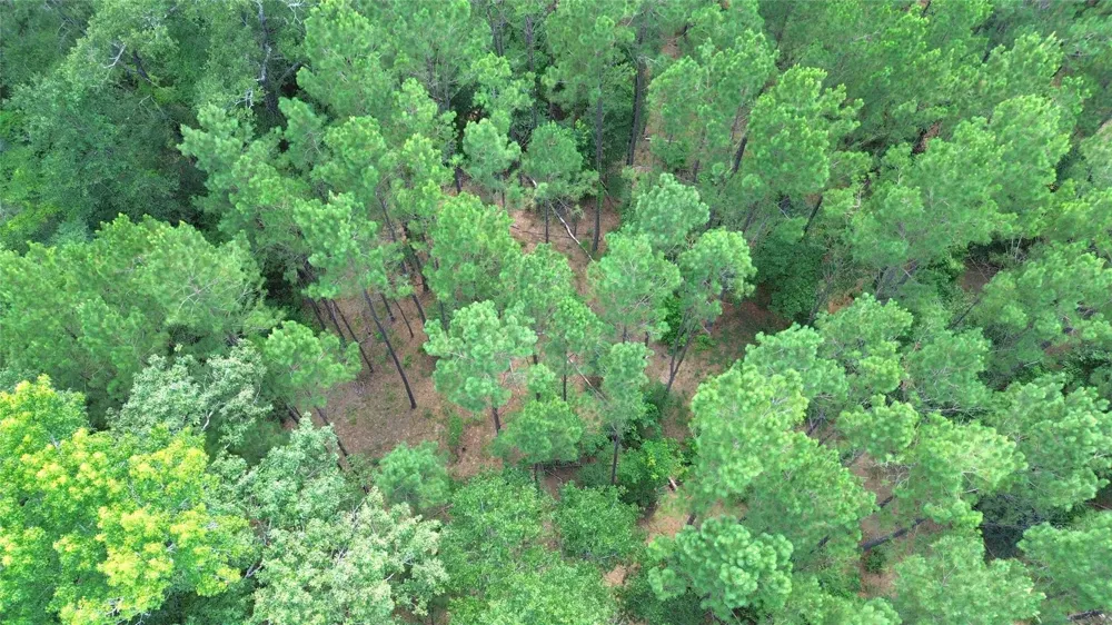 County Road 4030 Crockett, TX 75835