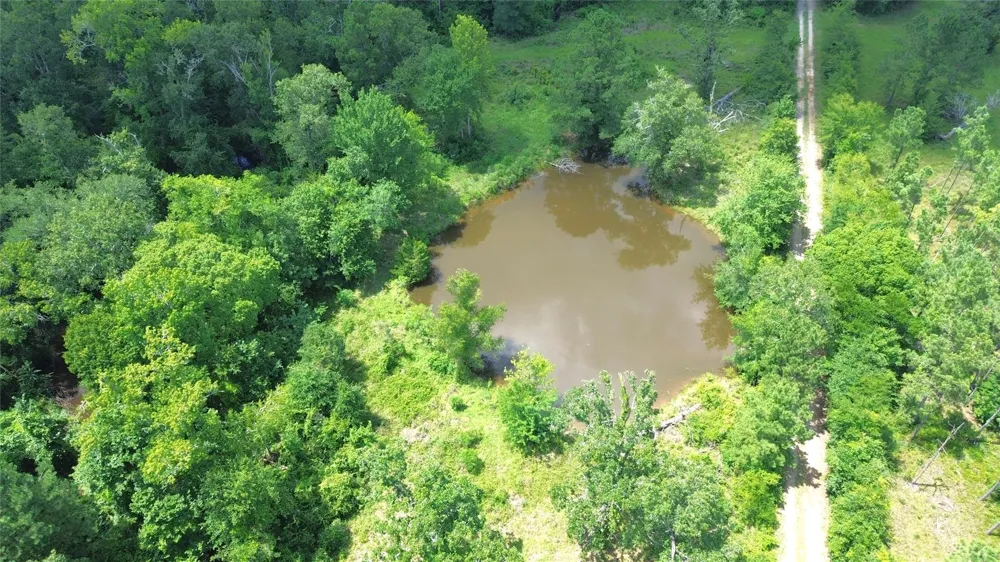 County Road 4030 Crockett, TX 75835