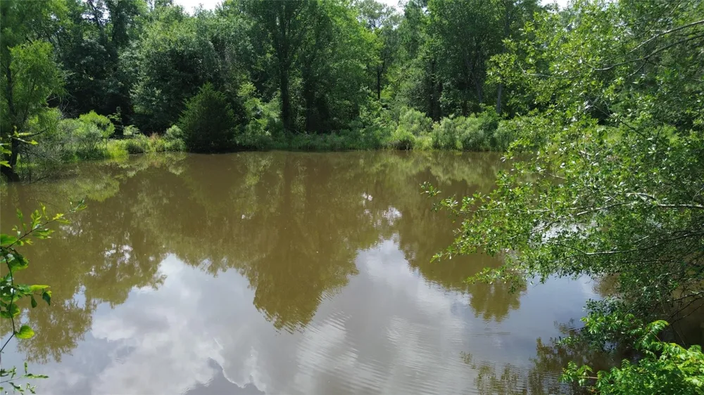 County Road 4030 Crockett, TX 75835