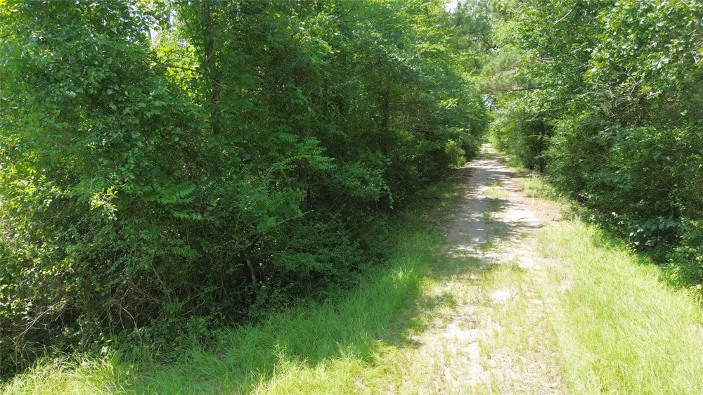 County Road 4030 Crockett, TX 75835