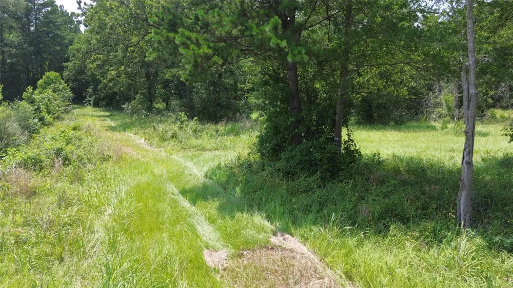 County Road 4030 Crockett, TX 75835