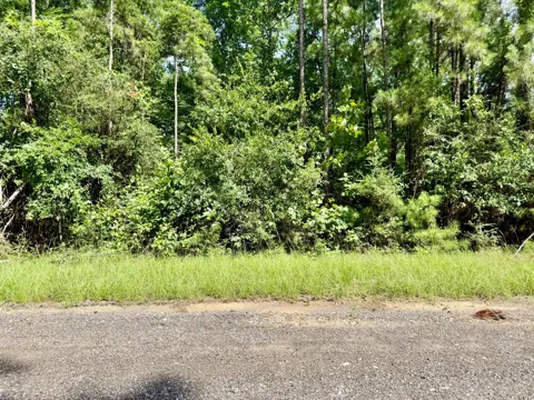 Spring Creek Drive