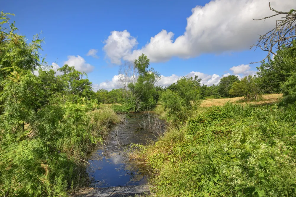 13414 Elm Grove Road Buda, TX 78610