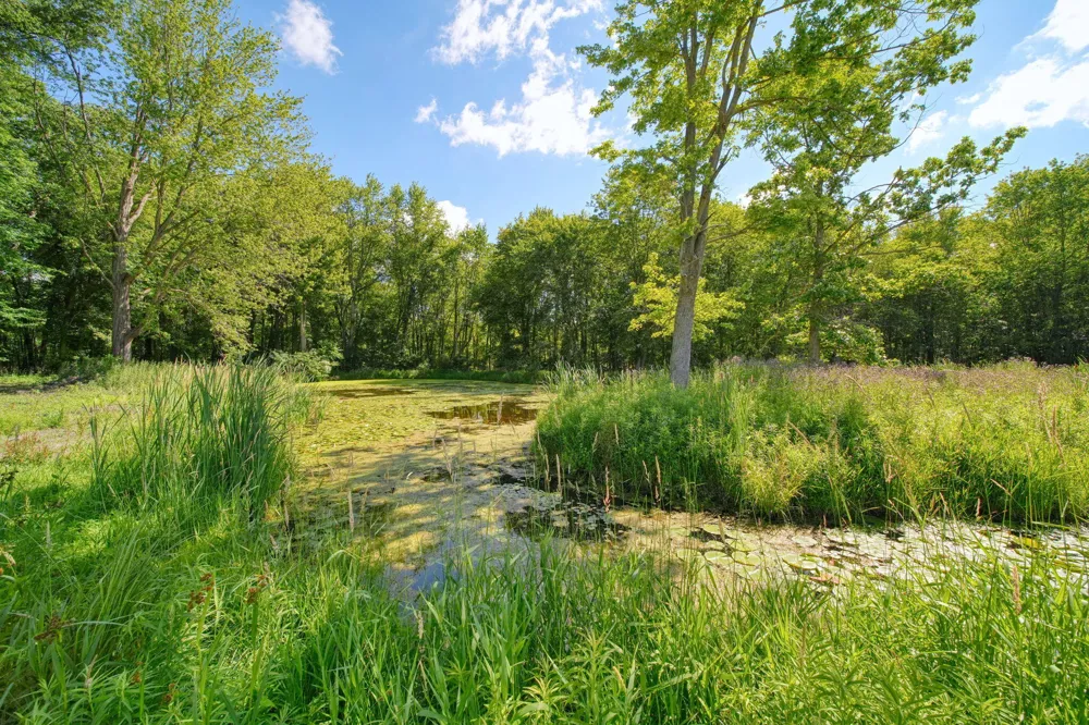 5995 Sandstone Road Jackson, MI 49201