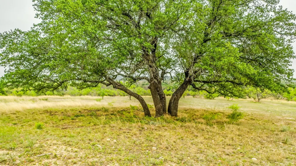 County Road 322 Blanket, TX 76432