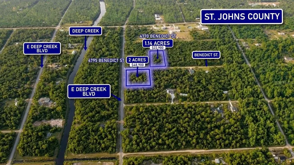 4795 BENEDICT STREET Hastings, FL 32145
