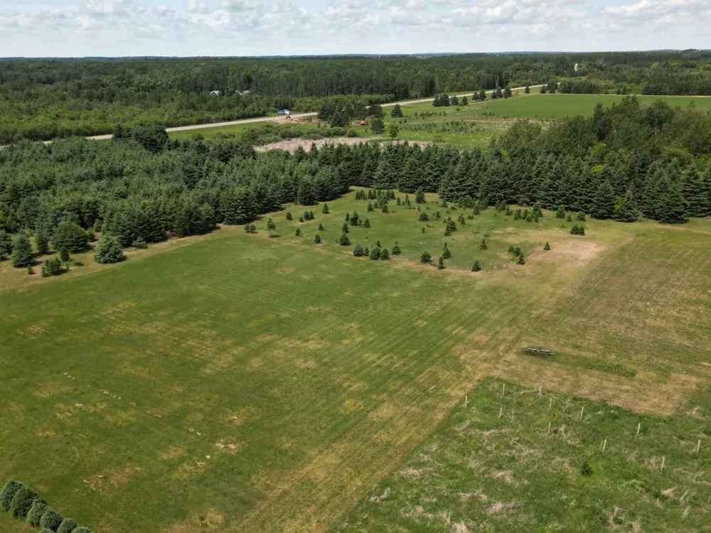 TBD 440th St. New York Mills, MN 56567