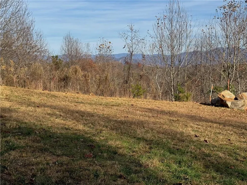 1220 Chatuge Manor Drive Young Harris, GA 30582