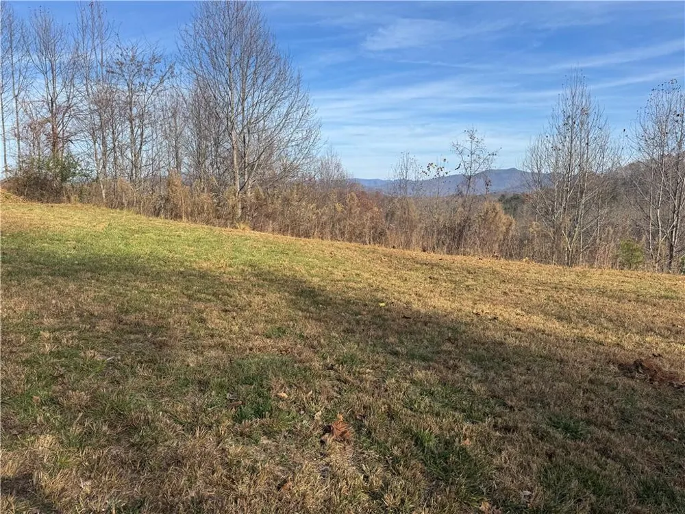 1220 Chatuge Manor Drive Young Harris, GA 30582