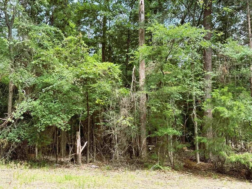 58 Cypress Creek Dr. Mount Vernon, TX 75457