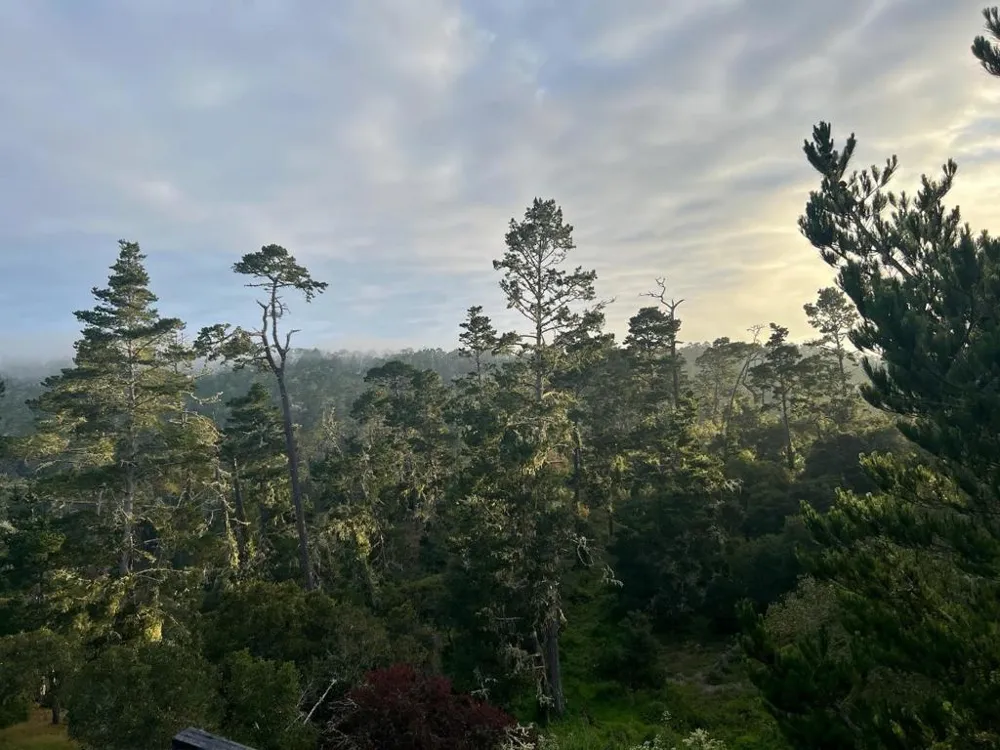 24312 San Juan Road Carmel, CA 93923