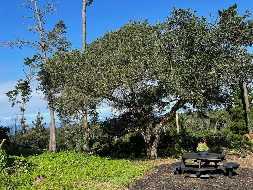 24312 San Juan Road Carmel, CA 93923