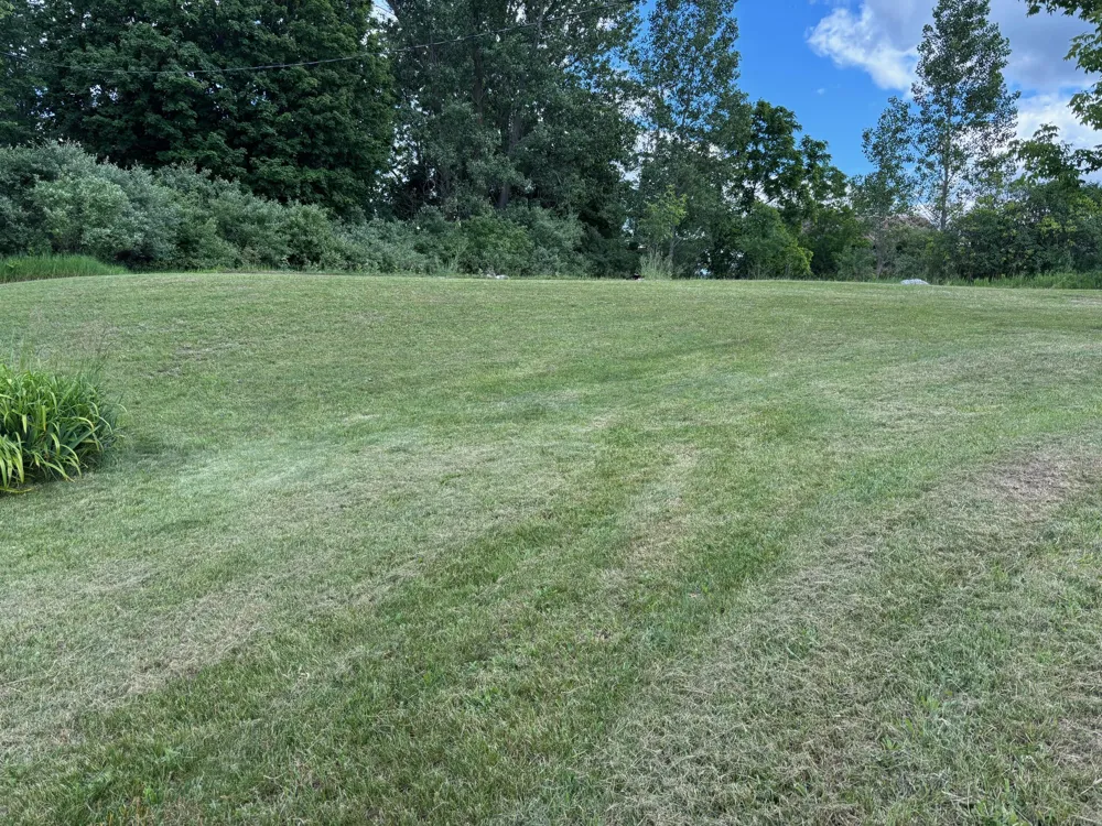 124 S Menes Street Walkerville, MI 49459