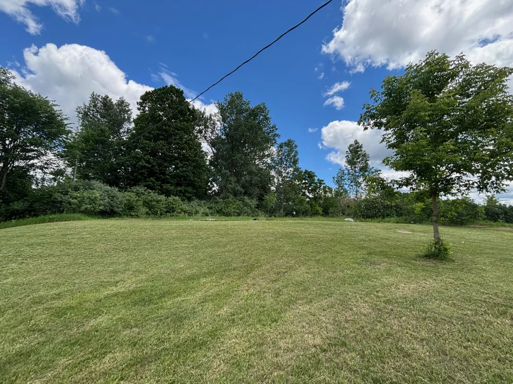 124 S Menes Street Walkerville, MI 49459