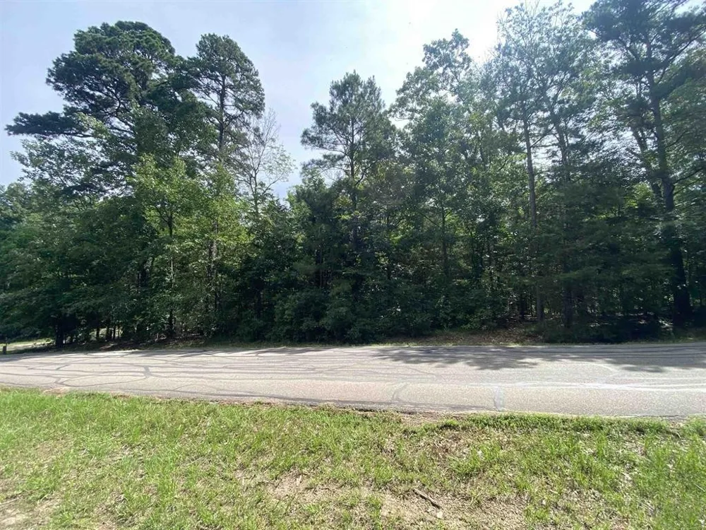 18 Angelina St Mount Vernon, TX 75457
