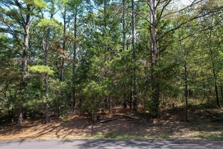 18 Angelina St Mount Vernon, TX 75457