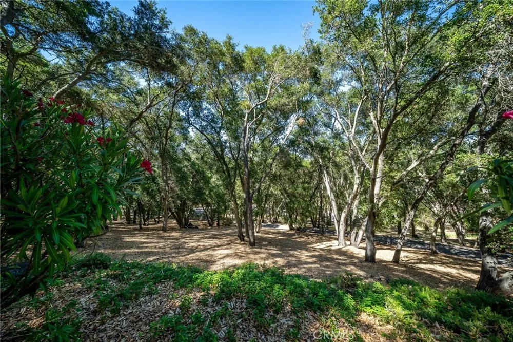 1731 San Fernando Road Atascadero, CA 93422