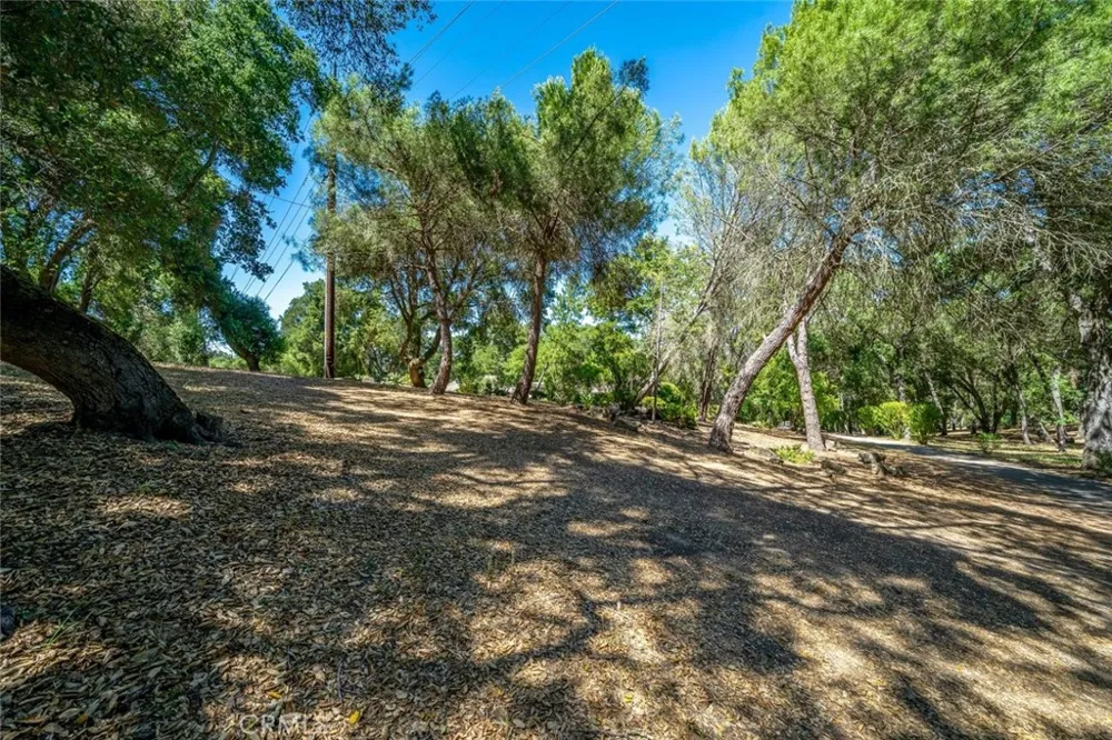 1731 San Fernando Road Atascadero, CA 93422