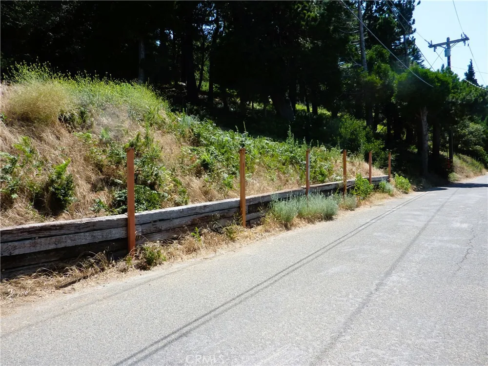 21500 Peak Circle Cedarpines Park, CA 92322