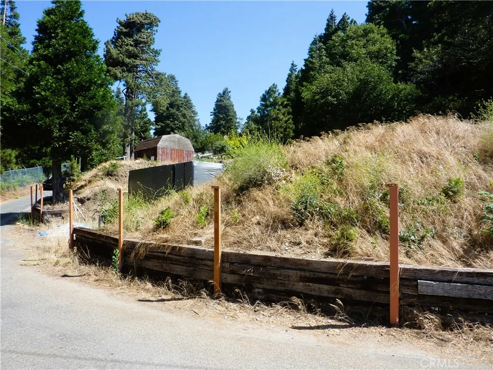 21500 Peak Circle Cedarpines Park, CA 92322