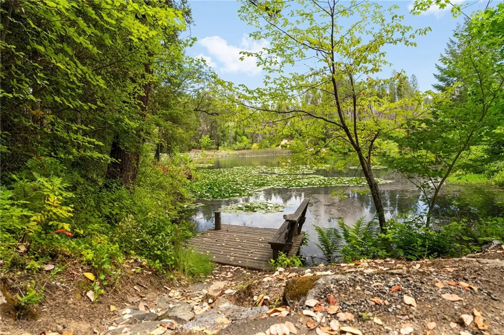 15 Toyon Trail Berry Creek, CA 95916
