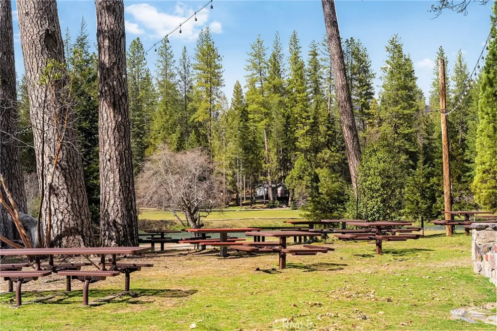 15 Toyon Trail Berry Creek, CA 95916
