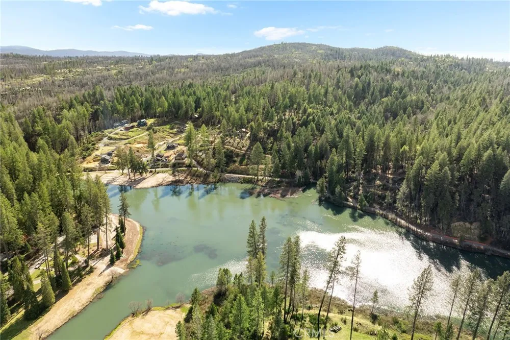 15 Toyon Trail Berry Creek, CA 95916
