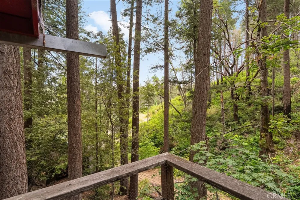 15 Toyon Trail Berry Creek, CA 95916