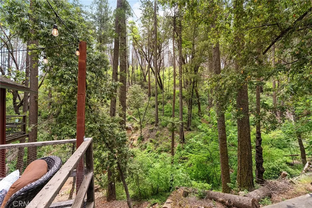 15 Toyon Trail Berry Creek, CA 95916