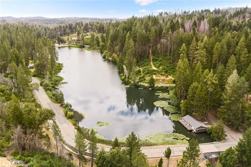 15 Toyon Trail Berry Creek, CA 95916
