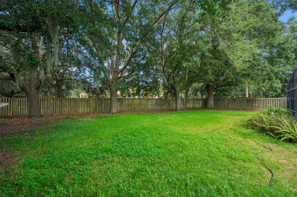 1515 ACROPOLIS CIRCLE Ocoee, FL 34761