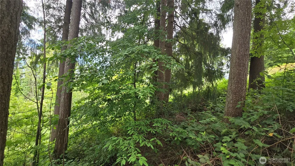 27339 SE 403rd (Lots 39,47,48,49) Street Enumclaw, WA 98022