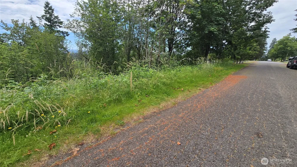 27339 SE 403rd (Lots 39,47,48,49) Street Enumclaw, WA 98022