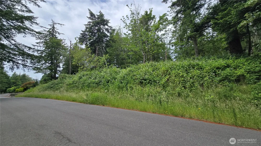 27339 SE 403rd (Lots 39,47,48,49) Street Enumclaw, WA 98022