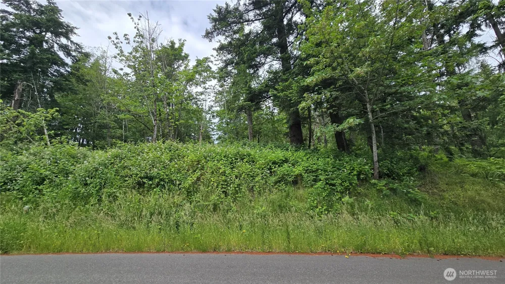 27339 SE 403rd (Lots 39,47,48,49) Street Enumclaw, WA 98022