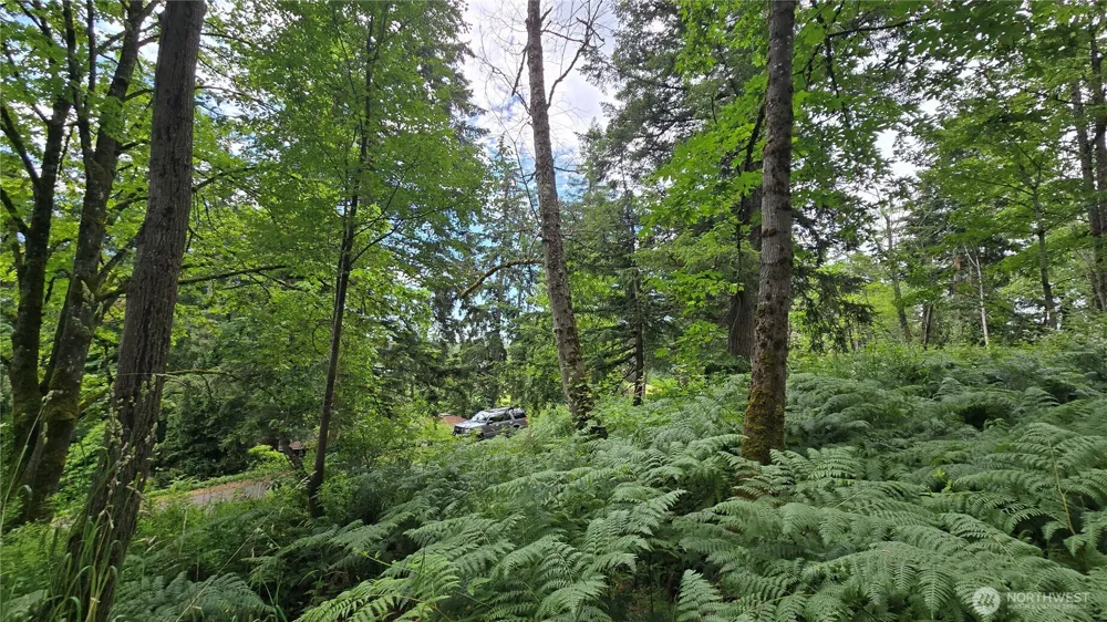 27339 SE 403rd (Lots 39,47,48,49) Street Enumclaw, WA 98022