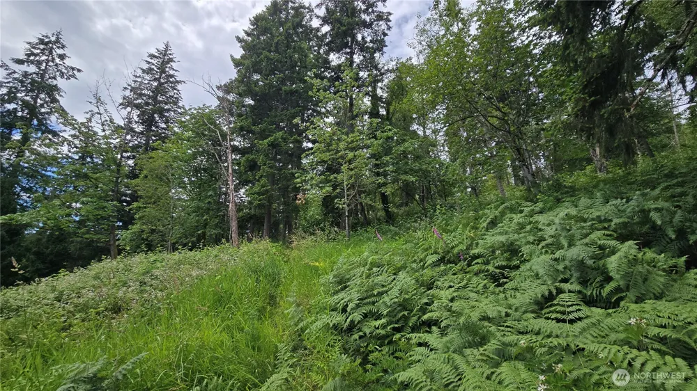 27339 SE 403rd (Lots 39,47,48,49) Street Enumclaw, WA 98022
