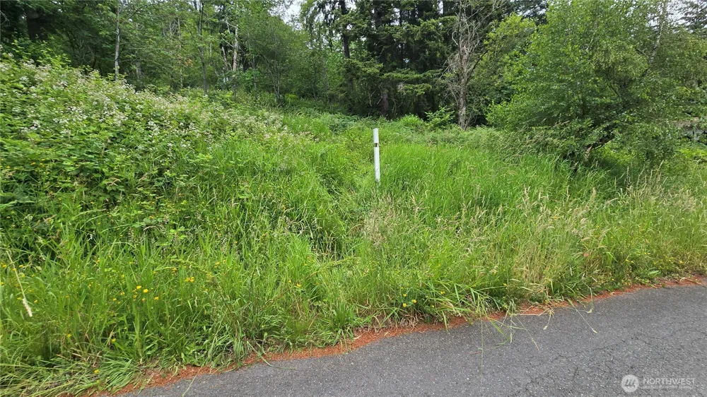 27339 SE 403rd (Lots 39,47,48,49) Street Enumclaw, WA 98022