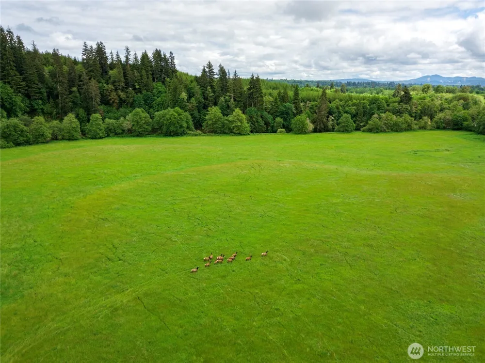 732 Satsop Road W Montesano, WA 98563