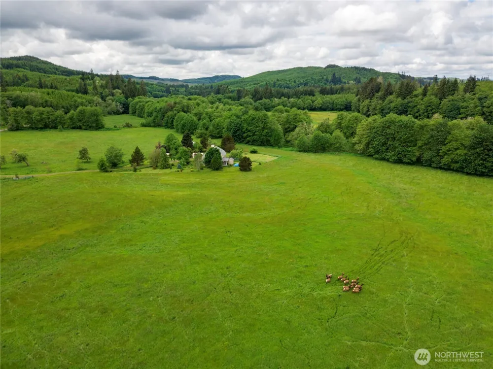 732 Satsop Road W Montesano, WA 98563