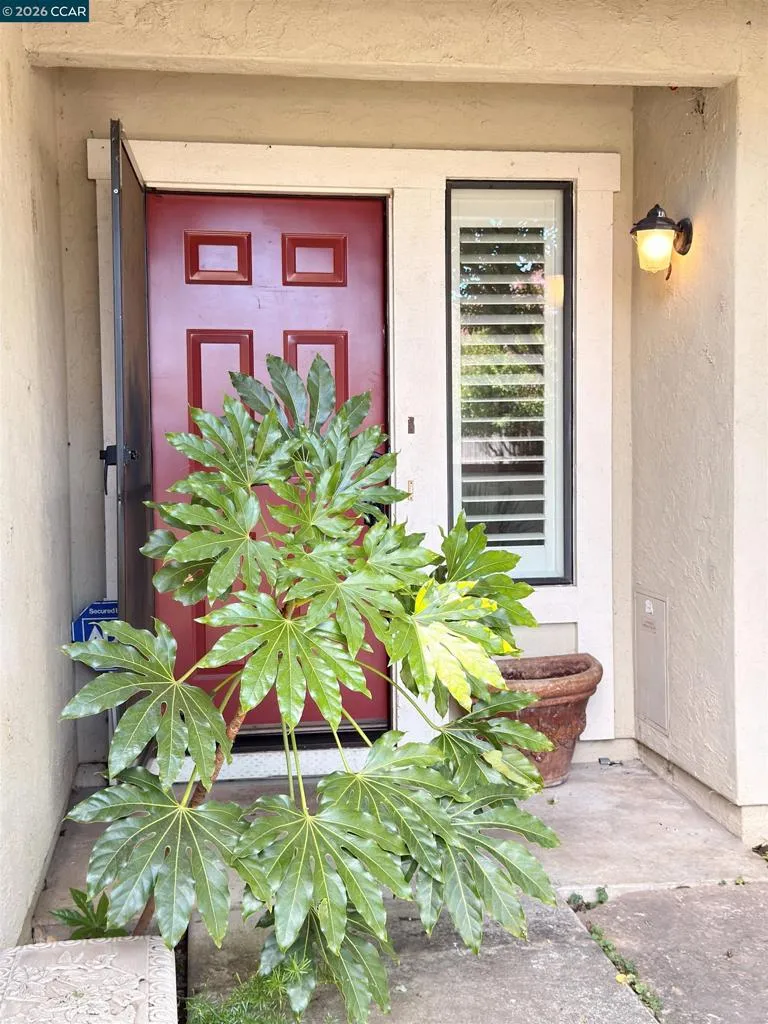 1640 San Vicente Ave Napa, CA 94558