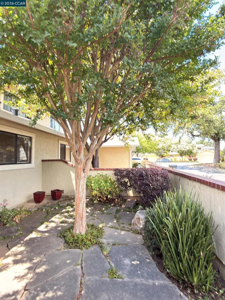 1640 San Vicente Ave Napa, CA 94558