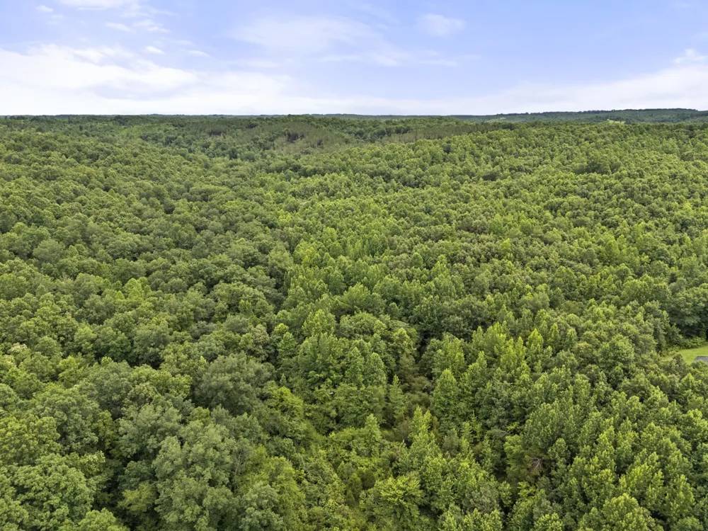 0 Rockhouse Rd Linden, TN 37096
