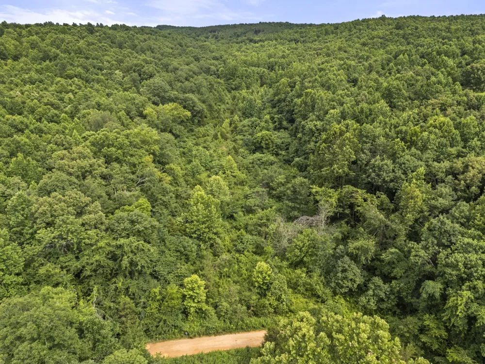 0 Rockhouse Rd Linden, TN 37096