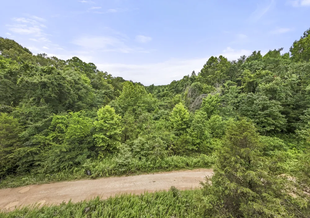 0 Rockhouse Rd Linden, TN 37096