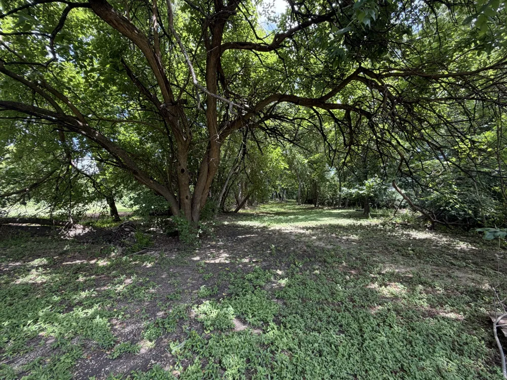 5101 Beverly Drive Beverly Hills, TX 76711